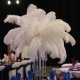Feather chandelier